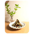 クック4649★'s cooksnap of when they made 揚げごぼうのオイスター味.