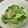 ポチ君のまま's cooksnap of when they made レタスの外側の葉としらすのごま油炒め.