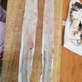 猫まんま☆'s cooksnap of when they made 【簡単】誰でも出来るアナゴの捌き方.