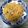 みりん調味料's cooksnap of when they made お弁当に！スパゲティ.