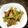 みろぷー's cooksnap of when they made 回鍋肉.