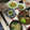 ぐりtoぐら's cooksnap of when they made 中華くらげときゅうりの和え物.