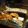 conta0602's cooksnap of when they made イワシの梅煮.