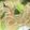 クックM6DK2O☆'s cooksnap of when they made 中華風✧野菜たっぷりあんかけうどん.