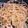 ま＊ど＊か♪'s cooksnap of when they made バター不要の黄金比率クリームたらこパスタ.