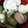 プクこ's cooksnap of when they made 簡単☆キュウリの塩もみマヨ和え.