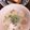 o☆shino's cooksnap of when they made 朝食パンにピッタリ☆白菜のミルクスープ.