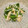バカリャウ's cooksnap of when they made 今が旬＊筍の新玉とクレソン和えサラダ.