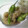 トクライ's cooksnap of when they made シシトウとじゃこのおかかあえ.