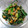 あおちゃん's cooksnap of when they made ほうれん草の納豆あえ 給食レシピ♪.