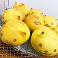 タラまよ's cooksnap of when they made ハロウィン☆ピカチュウ☆かぼちゃパン.