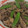 かなはは☆'s cooksnap of when they made 牛肉と絹さやのオイスターソース炒め.