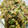 ろみろみ1010♬'s cooksnap of when they made アジのなめろう【鯵の捌き方】.