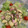 クックPNZ9LS☆'s cooksnap of when they made ズッキーニとちくわとハムのマヨサラダ.