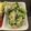 maichi92's cooksnap of when they made 子供がおかわり^_^小松菜絶賛サラダ♡.