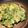 アルパキータ's cooksnap of when they made ニラチヂミ.