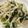 クックM6DK2O☆'s cooksnap of when they made 簡単！もやしとワカメとうどんのナムル♪.