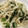 クックM6DK2O☆'s cooksnap of when they made 簡単！もやしとワカメとうどんのナムル♪.