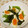 youtapapa's cooksnap of when they made 半熟卵とほうれん草のサラダ.
