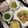 ぐりtoぐら's cooksnap of when they made ちくわとアスパラおかか炒め✿.