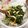 クックPQH528☆'s cooksnap of when they made 材料２つ　春菊と小揚のからし酢しょうゆ.