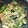 クックUL8OCM☆'s cooksnap of when they made ニラ卵もやしオイスターソース炒め.