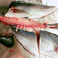 みっくママ's cooksnap of when they made 簡単！アジの三枚おろし.