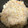 ☆フユニャン☆'s cooksnap of when they made 簡単＊ツナと新玉ねぎの炊き込みご飯.