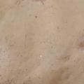 れそそ's cooksnap of when they made バニラ風味のホテル風クレープ.