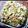 よよっち♪'s cooksnap of when they made セロリ好き、冷蔵庫整理 チャーハン.