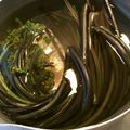 いかっち５'s cooksnap of when they made 煮ないわらびのアク抜き.