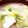 はるたんママ☆'s cooksnap of when they made 白菜たっぷり♡ニラたまスープ.