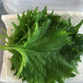 R2016's cooksnap of when they made 簡単！長持ち！青じそ保存法.