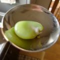 星空ひつじ's cooksnap of when they made そらまめの皮をきれいにむく方法.