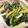 ∞ちぷ子∞'s cooksnap of when they made 小松菜としめじの和物.