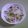 miyakom's cooksnap of when they made ツナとカイワレの大根サラダ.
