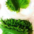 ちょこふみ's cooksnap of when they made 大葉(青ジソ)長期保存方法.