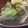 あゆたっくん's cooksnap of when they made キャベツときのこのみそ汁.