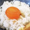 ぽろよ's cooksnap of when they made 漬け卵黄の卵かけご飯｡+☆+｡ﾟ.