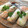 のりぞう22's cooksnap of when they made 野菜たっぷり生春巻き☆フィンガーサラダ.