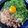 xMARILYNx's cooksnap of when they made 焼きそば麺で台湾まぜそば.
