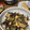 たっちゃんママ。's cooksnap of when they made わらびと薄揚げの炒め煮.