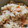 Galão's cooksnap of when they made 意外でﾍﾙｼｰな☆大根と鮭の炊き込みご飯.