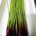 ひっこ's cooksnap of when they made 山菜「ふき」の下処理～お浸し.