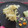 melmarilyn's cooksnap of when they made 新しょうがと玉ねぎのかきあげ.