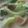 あゆたっくん's cooksnap of when they made ほっこりのこのこミルクスープ.