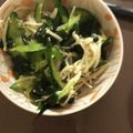 クックZ8J4H4☆'s cooksnap of when they made ほうれん草とえのきのナムル*+.