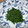 桃華0408's cooksnap of when they made よもぎの下処理と冷凍.