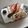 ☆たまり☆'s cooksnap of when they made ロールケーキに綺麗にクリームを塗る方法.