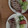 ﾌﾞﾚﾝﾀﾞ's cooksnap of when they made かつおのたたきに新玉ねぎを添えて.